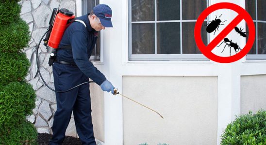 Bayraklı Karınca İlaçlama böcek ilaçlama ve haşere kontrolü — ilaclama-tr.com